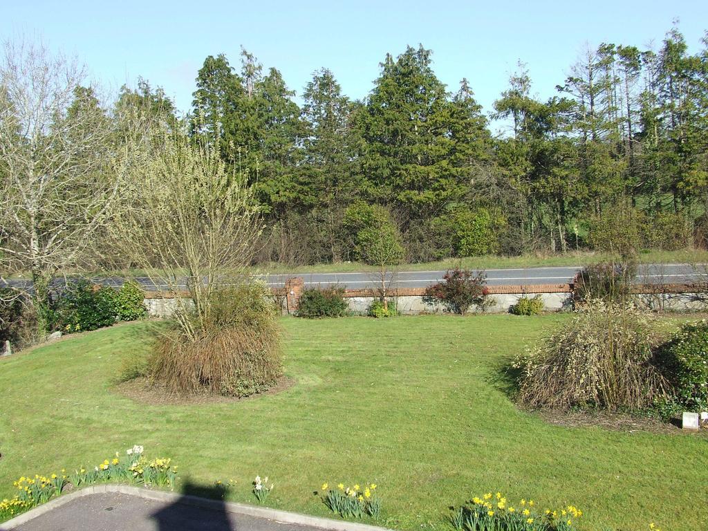 Rockfield House B&B Killarney Zewnętrze zdjęcie