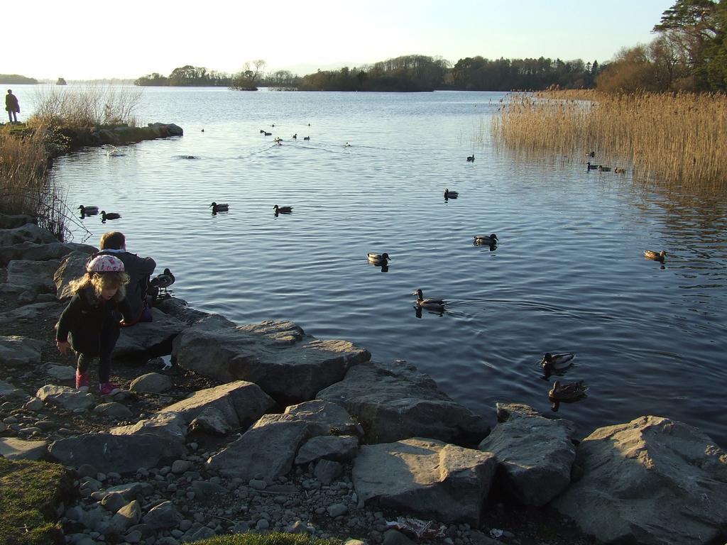 Rockfield House B&B Killarney Zewnętrze zdjęcie