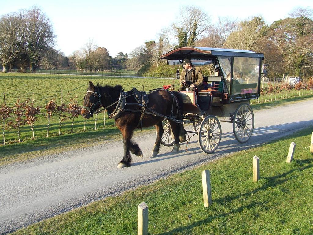 Rockfield House B&B Killarney Zewnętrze zdjęcie